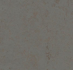 Линолеум Forbo Marmoleum Decibel on Order 370335 comet фото 1 | FLOORDEALER